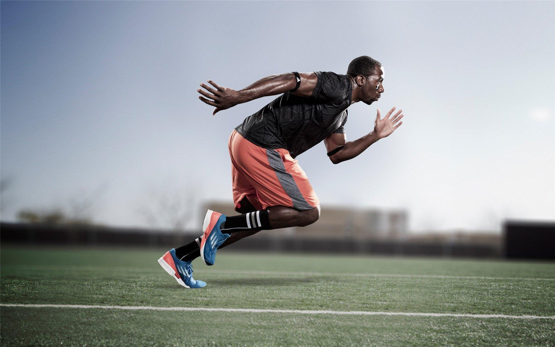 柏林联的耐心哲学,在速食足球时代,一粒种子的十年生长